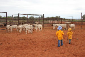 The next generation of kids helping in the cattle yards