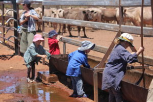At Curtin Springs we believe that children learn by doing not watching. Here they helping clean out a cattle trough.