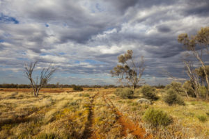 Curtin Springs Station - wide open plains